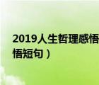 2019人生哲理感悟句子句句經(jīng)典（人生必記的10點(diǎn)哲理感悟短句）