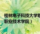 桂林電子科技大學(xué)職業(yè)技術(shù)學(xué)院海招生（桂林電子科技大學(xué)職業(yè)技術(shù)學(xué)院）