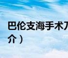巴倫支海手術刀（說一說巴倫支海手術刀的簡介）
