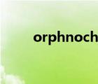 orphnoch爆甲形態(tài)（orphnoch）