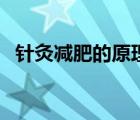 針灸減肥的原理和效果（針灸減肥的原理）