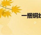 一捆銅線多少米（一捆銅線）