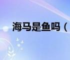 海馬是魚嗎（說一說海馬是魚嗎的簡(jiǎn)介）