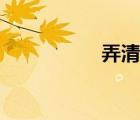 弄清影小說（弄清影）