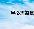 半必需氨基酸翻譯（半必需氨基酸）