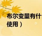 布爾變量有什么用（什么是布爾變量 要如何使用）