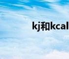 kj和kcal的換算（卡路里單位）