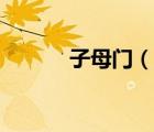 子母門（說一說子母門的簡介）
