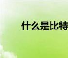 什么是比特幣交易（什么是比特幣）