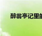 醉翁亭記里的成語(yǔ)（醉翁亭記的成語(yǔ)）
