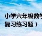 小學六年級數(shù)學題及解析（小學六年級數(shù)學總復習練習題）