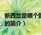 新西蘭是哪個(gè)國家（說一說新西蘭是哪個(gè)國家的簡介）