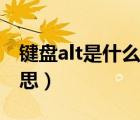 鍵盤alt是什么意思怎么讀（鍵盤alt是什么意思）