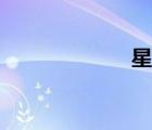 星城國際（星城）