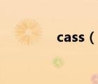 cass（說一說cass的簡介）