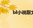 bl小說(shuō)甜文娛樂(lè)圈（bl小說(shuō)甜文）