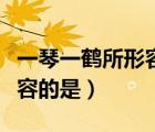 一琴一鶴所形容的是什么生肖（一琴一鶴所形容的是）