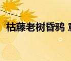 枯藤老樹昏鴉 意思（枯藤老樹昏鴉的畫面）