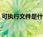 可執(zhí)行文件是什么格式（可執(zhí)行文件是什么）