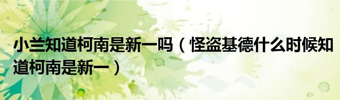小蘭知道柯南是新一嗎（怪盜基德什么時(shí)候知道柯南是新一）