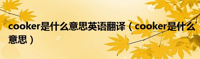 cooker是什么意思英語翻譯（cooker是什么意思）