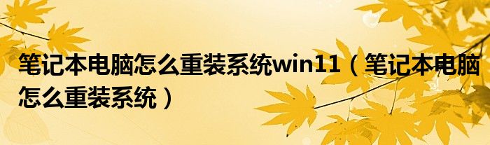 筆記本電腦怎么重裝系統(tǒng)win11（筆記本電腦怎么重裝系統(tǒng)）