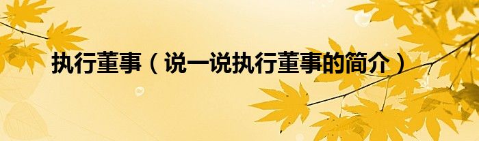 執(zhí)行董事（說一說執(zhí)行董事的簡介）