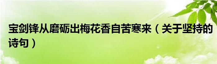寶劍鋒從磨礪出梅花香自苦寒來（關(guān)于堅(jiān)持的詩句）