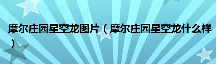 摩爾莊園星空龍圖片（摩爾莊園星空龍什么樣）