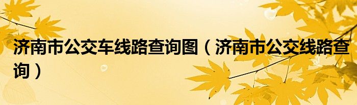 濟南市公交車線路查詢圖（濟南市公交線路查詢）