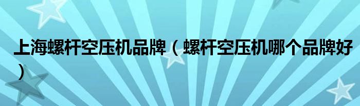 上海螺桿空壓機(jī)品牌（螺桿空壓機(jī)哪個(gè)品牌好）