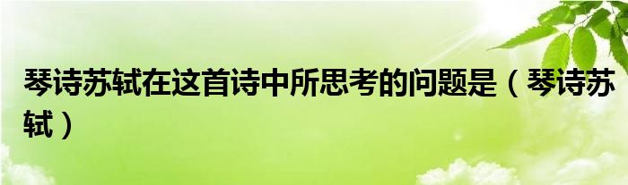 琴詩蘇軾在這首詩中所思考的問題是（琴詩蘇軾）