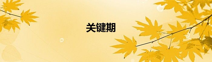 關(guān)鍵期