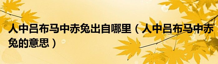 人中呂布馬中赤兔出自哪里（人中呂布馬中赤兔的意思）