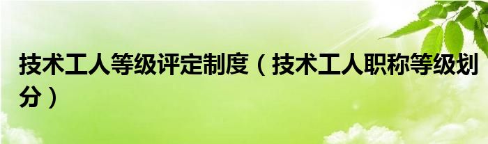 技術(shù)工人等級(jí)評(píng)定制度（技術(shù)工人職稱等級(jí)劃分）