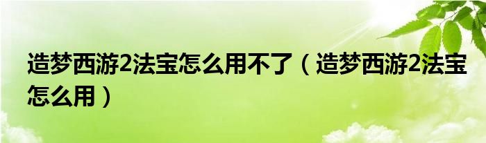 造夢西游2法寶怎么用不了（造夢西游2法寶怎么用）
