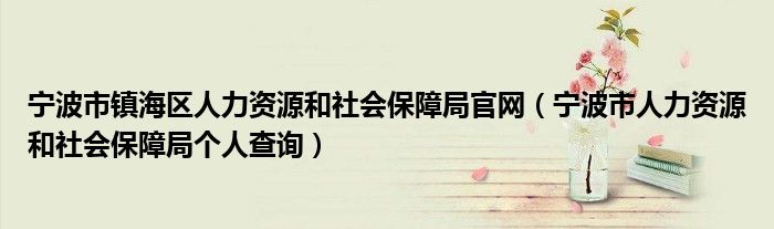 寧波市鎮(zhèn)海區(qū)人力資源和社會(huì)保障局官網(wǎng)（寧波市人力資源和社會(huì)保障局個(gè)人查詢(xún)）