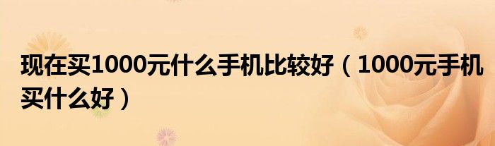 現(xiàn)在買1000元什么手機(jī)比較好（1000元手機(jī)買什么好）