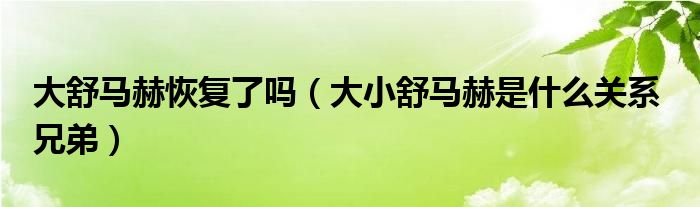 大舒馬赫恢復(fù)了嗎（大小舒馬赫是什么關(guān)系  兄弟）