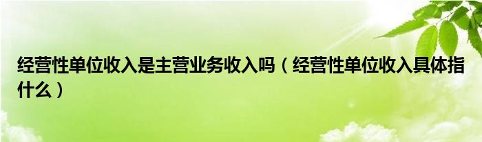 經(jīng)營性單位收入是主營業(yè)務(wù)收入嗎（經(jīng)營性單位收入具體指什么）