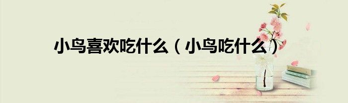小鳥(niǎo)喜歡吃什么（小鳥(niǎo)吃什么）