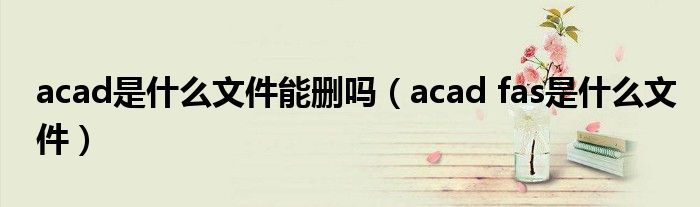 acad是什么文件能刪嗎（acad fas是什么文件）