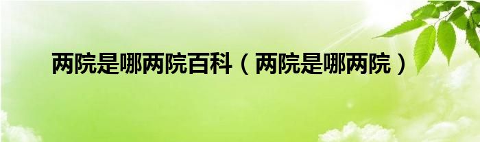 兩院是哪兩院百科（兩院是哪兩院）
