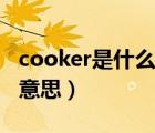 cooker是什么意思英語翻譯（cooker是什么意思）