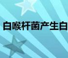 白喉桿菌產生白喉毒素的原因是（白喉桿菌）