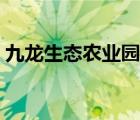九龍生態(tài)農(nóng)業(yè)園地址在哪（九龍生態(tài)農(nóng)業(yè)園）
