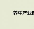 養(yǎng)牛產(chǎn)業(yè)前景（養(yǎng)牛業(yè)發(fā)展前景）
