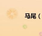 馬尾（說一說馬尾的簡介）