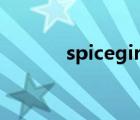 spicegirls成員（spice girls）