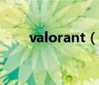 valorant（說一說valorant的簡(jiǎn)介）